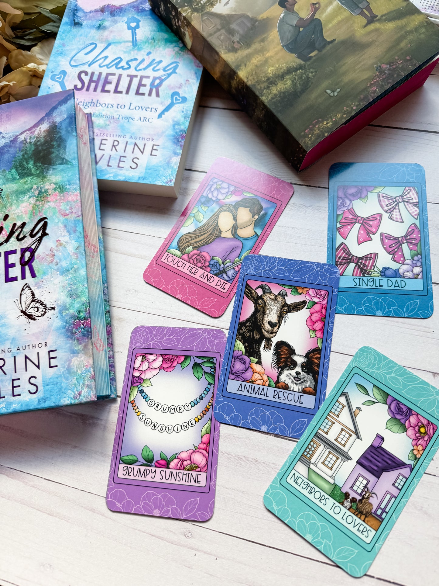 Chasing Shelter by Catherine Cowles Tarot Card Set