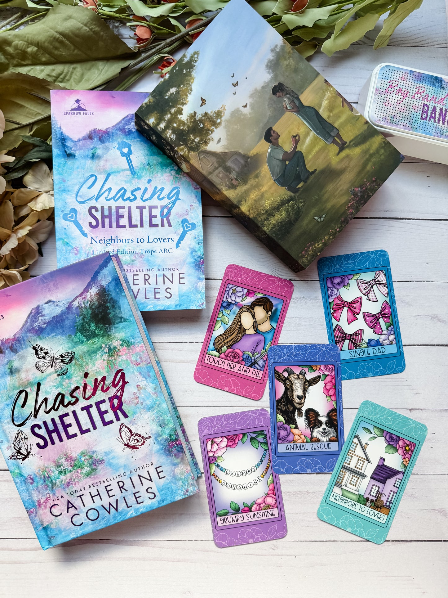 Chasing Shelter by Catherine Cowles Tarot Card Set