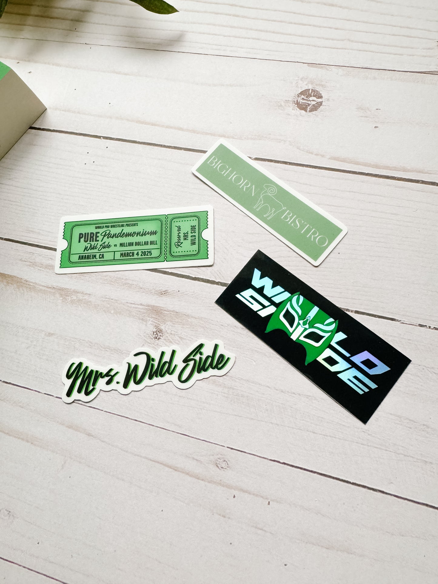 Wild Side by Elsie Silver Essential Sticker Set