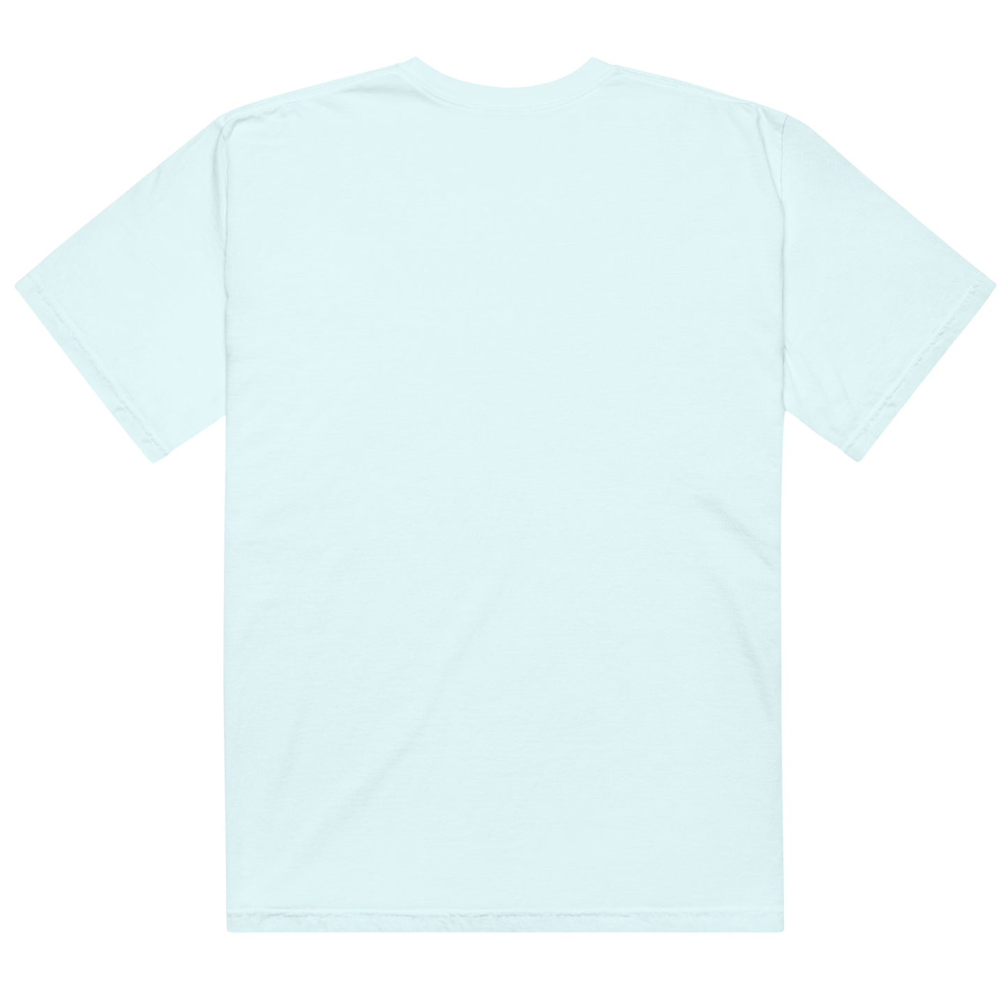 Skylar Stone Grizzly Tours heavyweight t-shirt